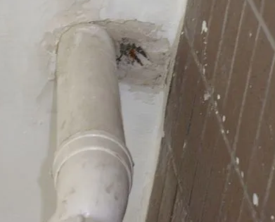 玉田漏水检测哪家好